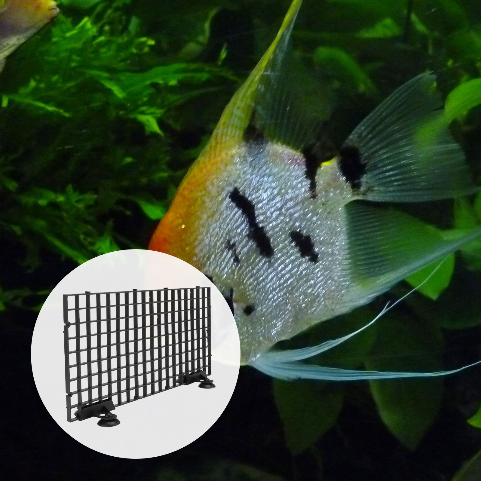 Aquarium Fish Net Hatchery Big - огляд і ціна Aquarium Fish Rate
