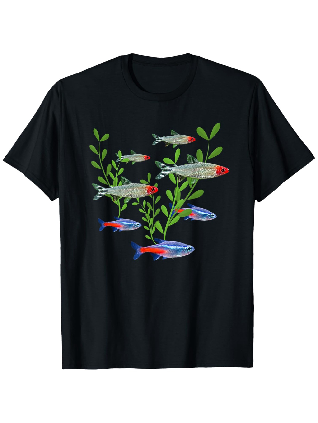 Men's Neon & Rummy Nose Tetras - огляд і ціна Tetra Fish In Aquarium