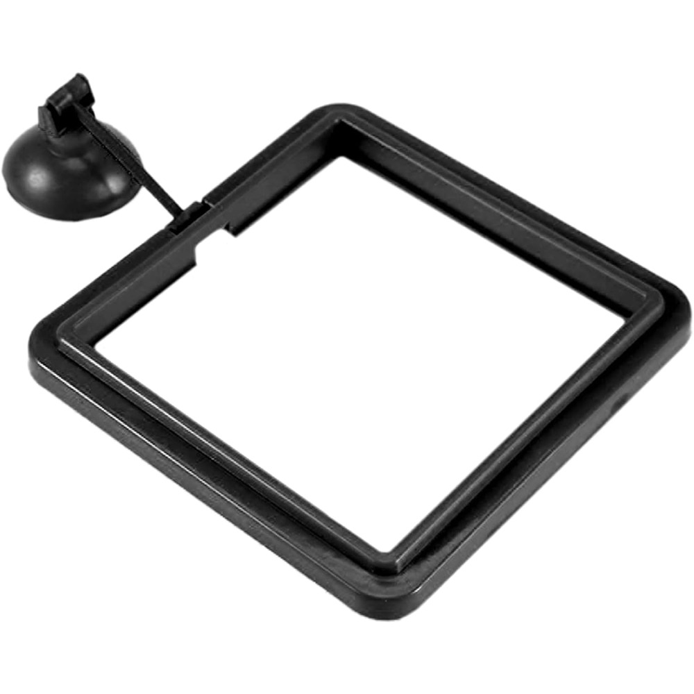 Fish Food Feeding Ring Aquariu - огляд і ціна Tetra Fish In Aquarium