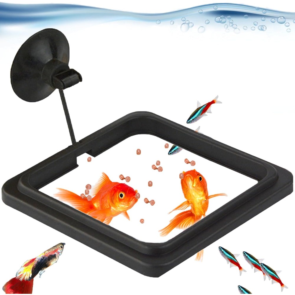 Fish Food Feeding Ring Aquariu - огляд і ціна Tetra Fish In Aquarium