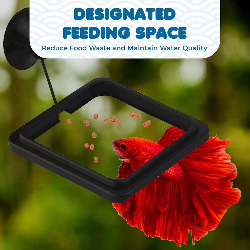 Fish Food Feeding Ring Aquariu - огляд і ціна Tetra Fish In Aquarium