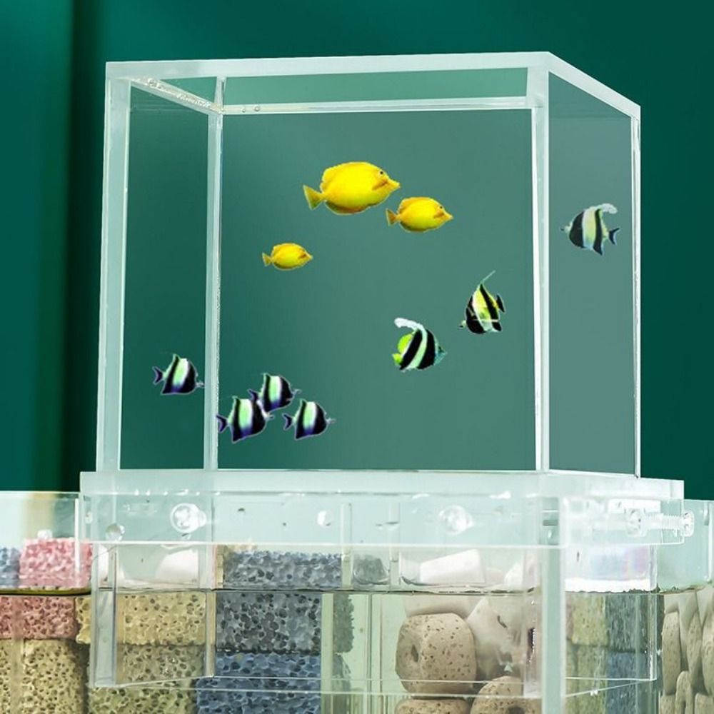 Landscaping Negative Pressure  - огляд і ціна Aquarium Fish Bridge