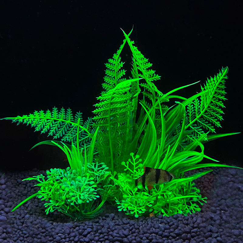 Aquarium decoration a variety  - огляд і ціна Aquarium Fish Variety
