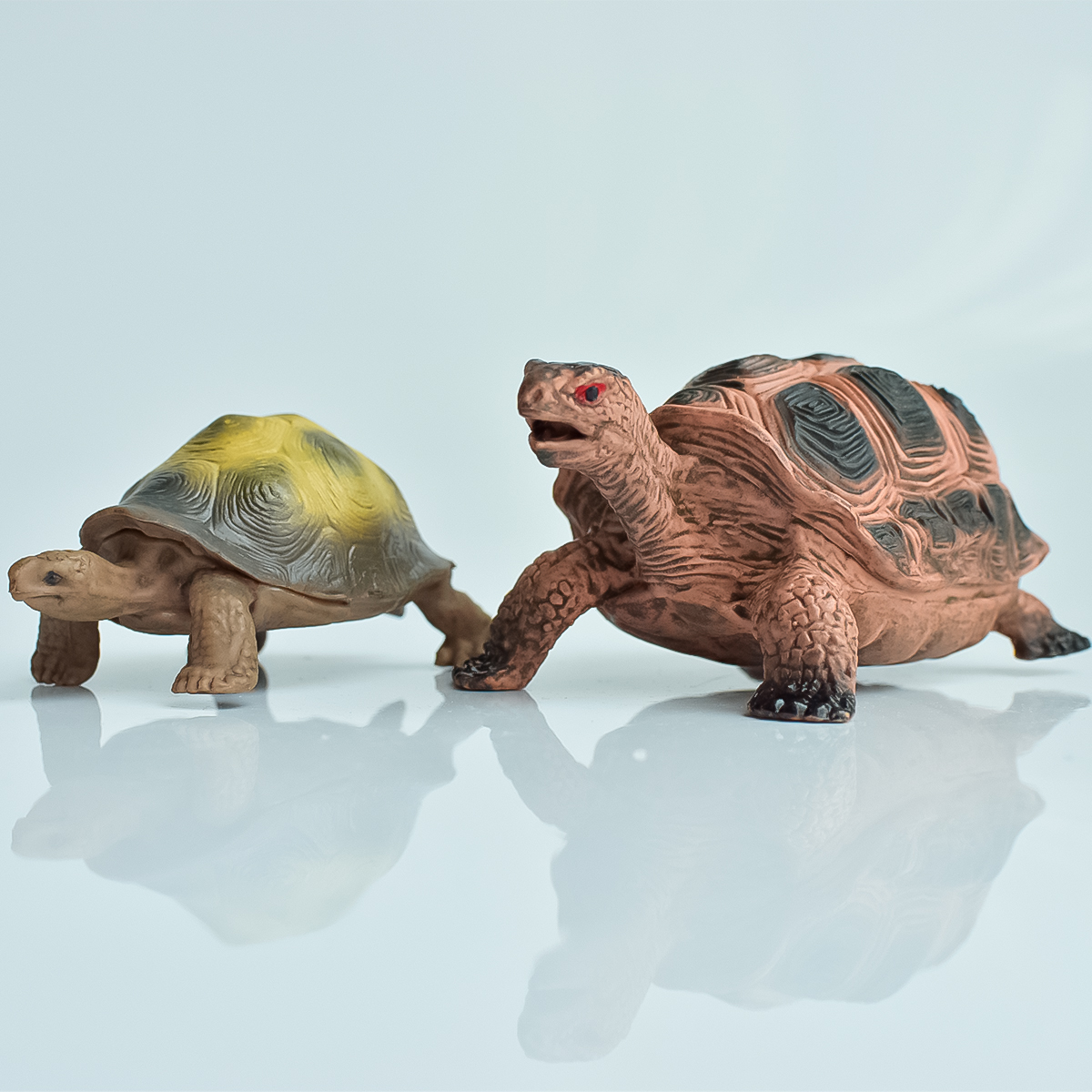 Painted Realistic Animal Turtl - огляд і ціна Aquarium Fish Saltwater