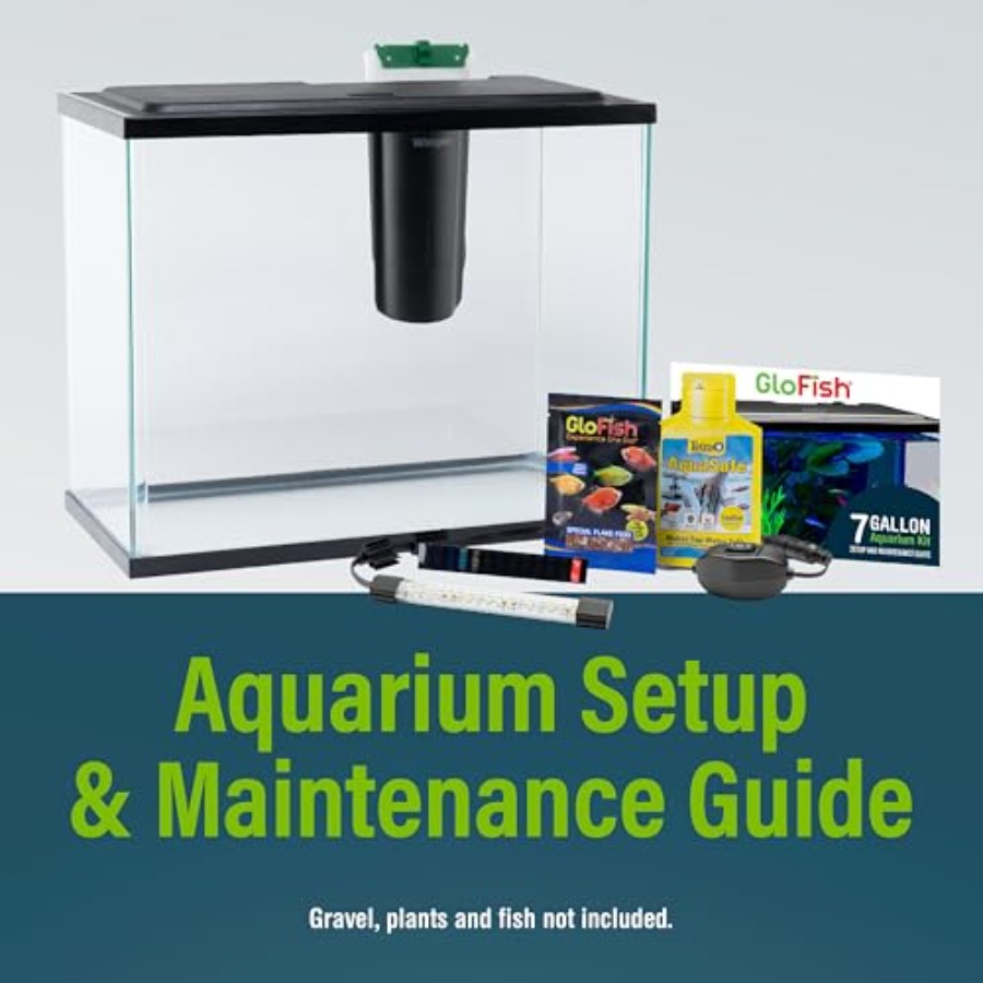 Aquarium Starter Kit 6.6 Gallo - огляд і ціна Tetra Fish In Aquarium