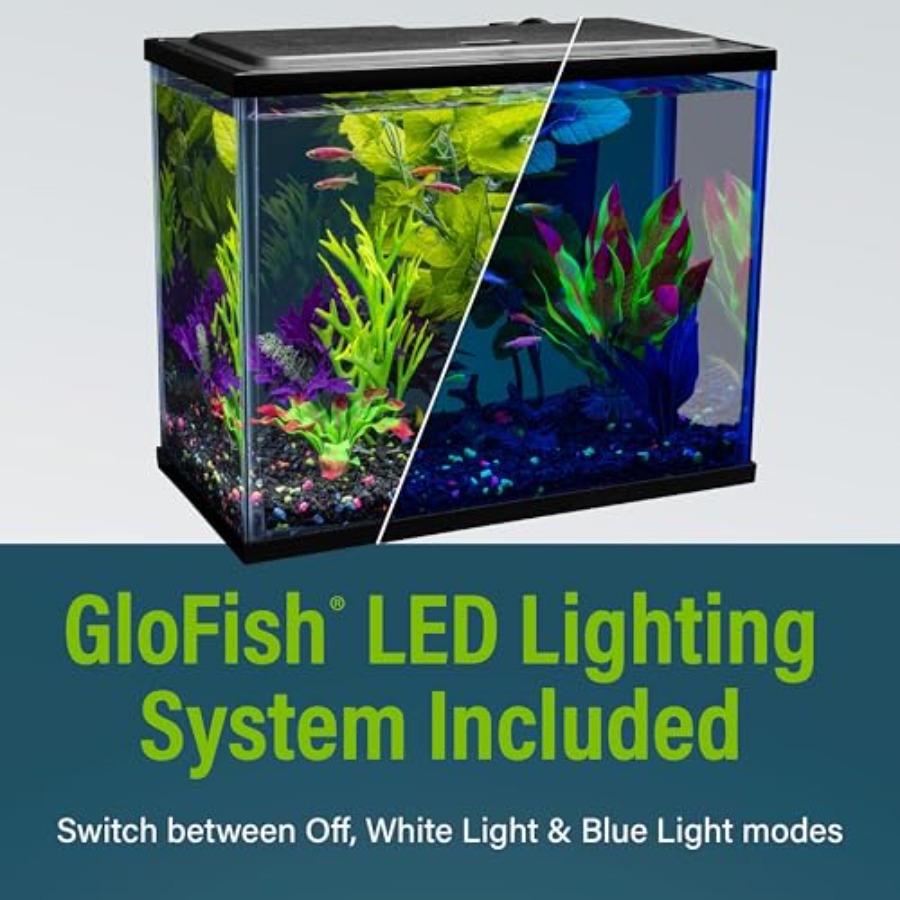 Aquarium Starter Kit 6.6 Gallo - огляд і ціна Tetra Fish In Aquarium