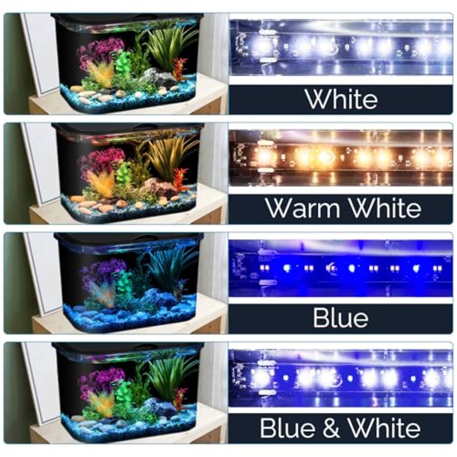 5-Gallon Aquarium Kit with LED - огляд і ціна Aquarium Fish Variety