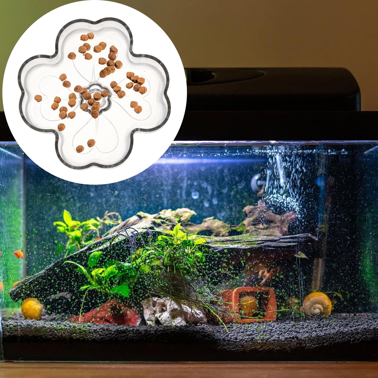Aquarium Feeder Tray Suction C - огляд і ціна Tetra Fish In Aquarium