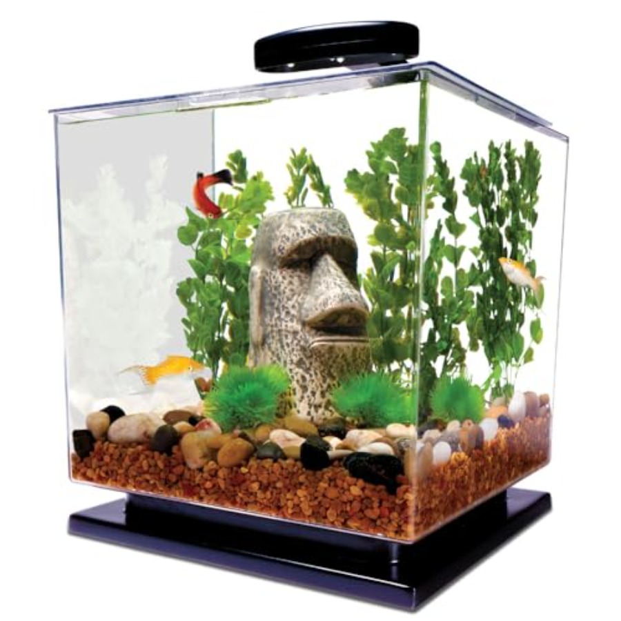 3 Gallon Fish Tank Aquarium St - огляд і ціна Fish Tank Filter Aquarium