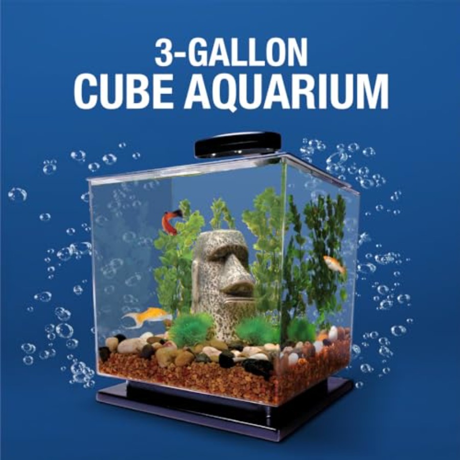 3 Gallon Fish Tank Aquarium St - огляд і ціна Fish Tank Filter Aquarium