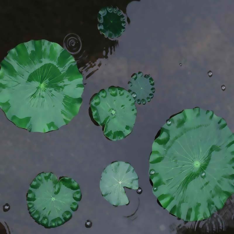 2026 Artificial Water Lily Lot - огляд і ціна Aquarium Fish Saltwater