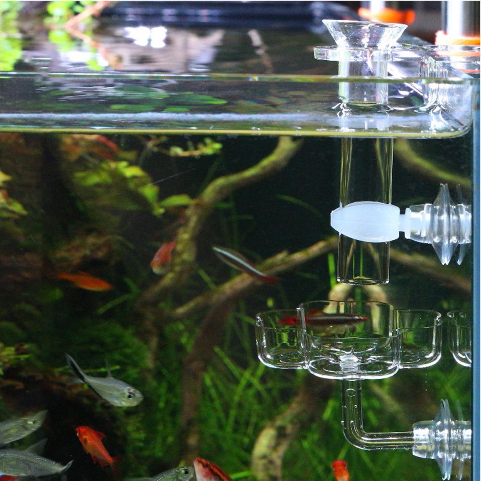 Aquarium Feeder Suction Cup Fl - огляд і ціна Tetra Fish In Aquarium