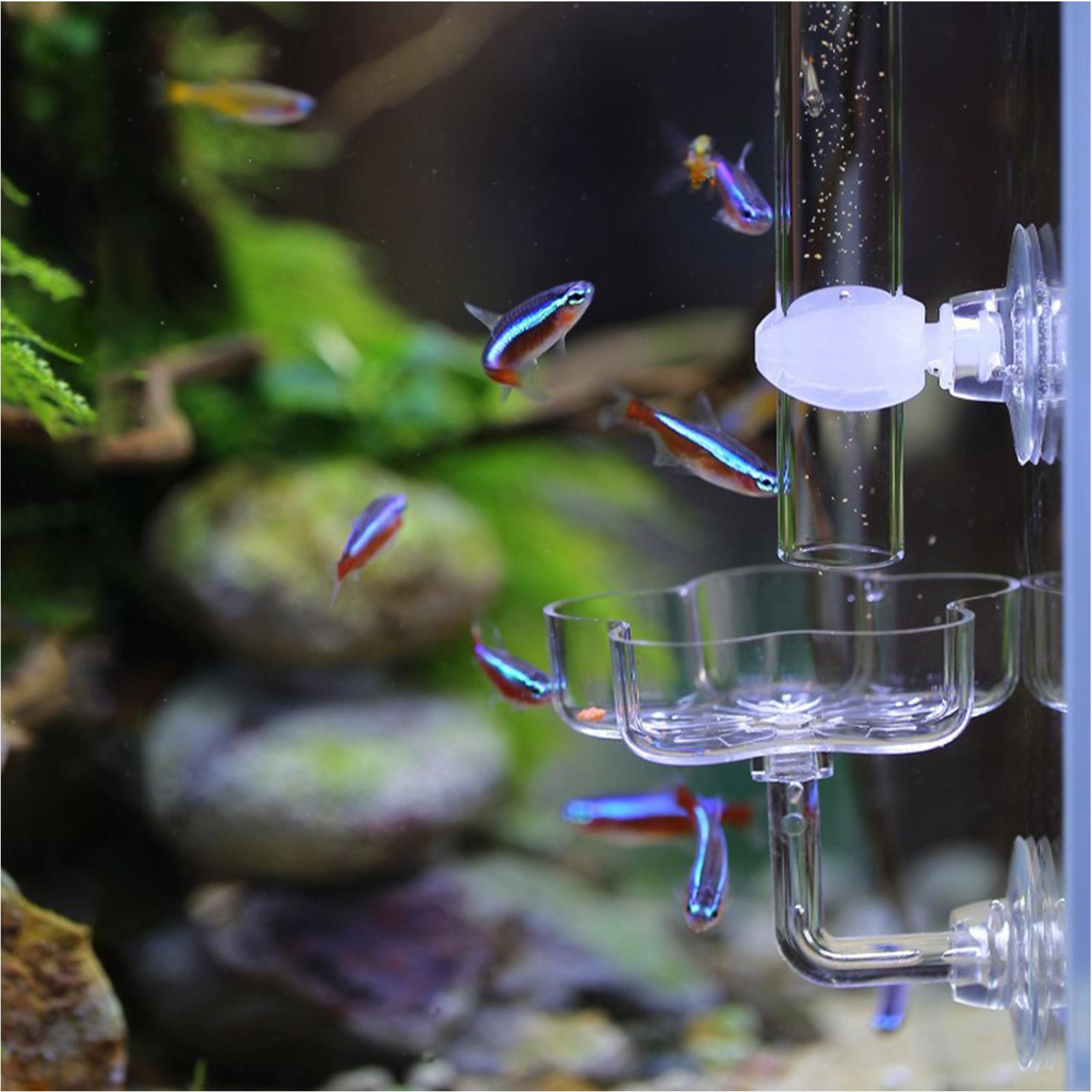 Aquarium Feeder Suction Cup Fl - огляд і ціна Tetra Fish In Aquarium