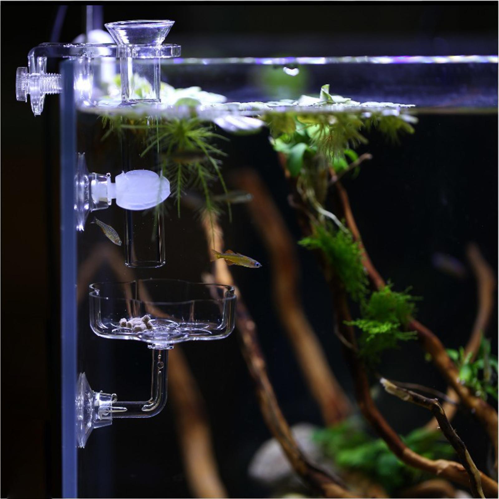 Aquarium Feeder Suction Cup Fl - огляд і ціна Tetra Fish In Aquarium