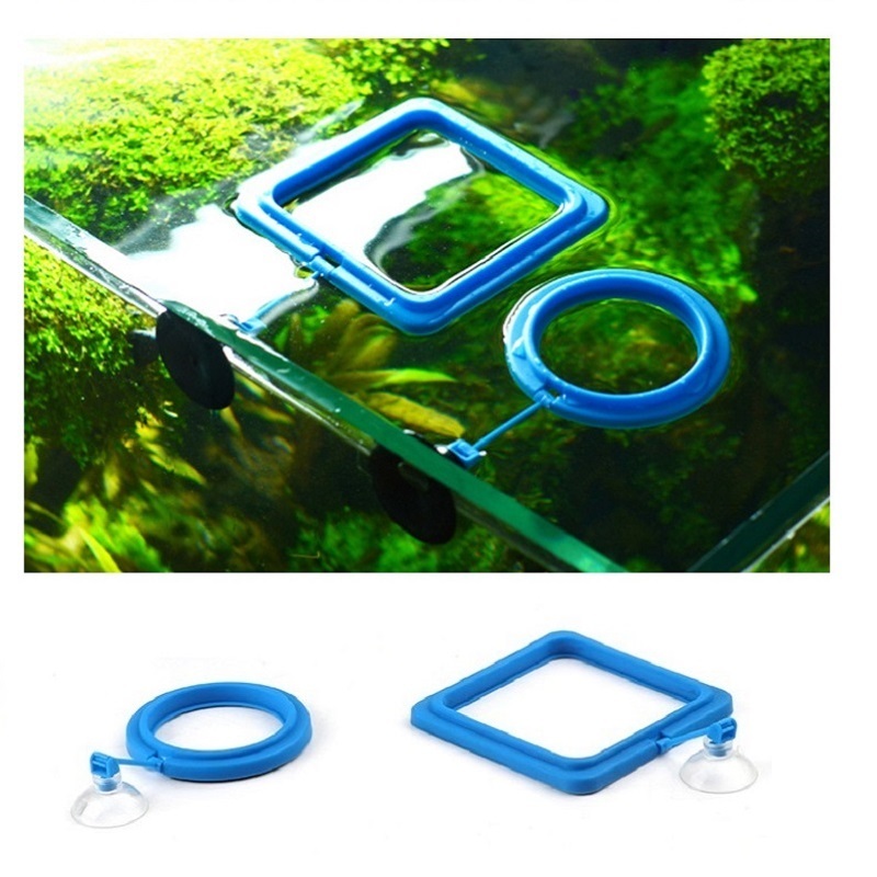 Fish Feeding Ring Feeder Fishi - огляд і ціна Tetra Fish In Aquarium