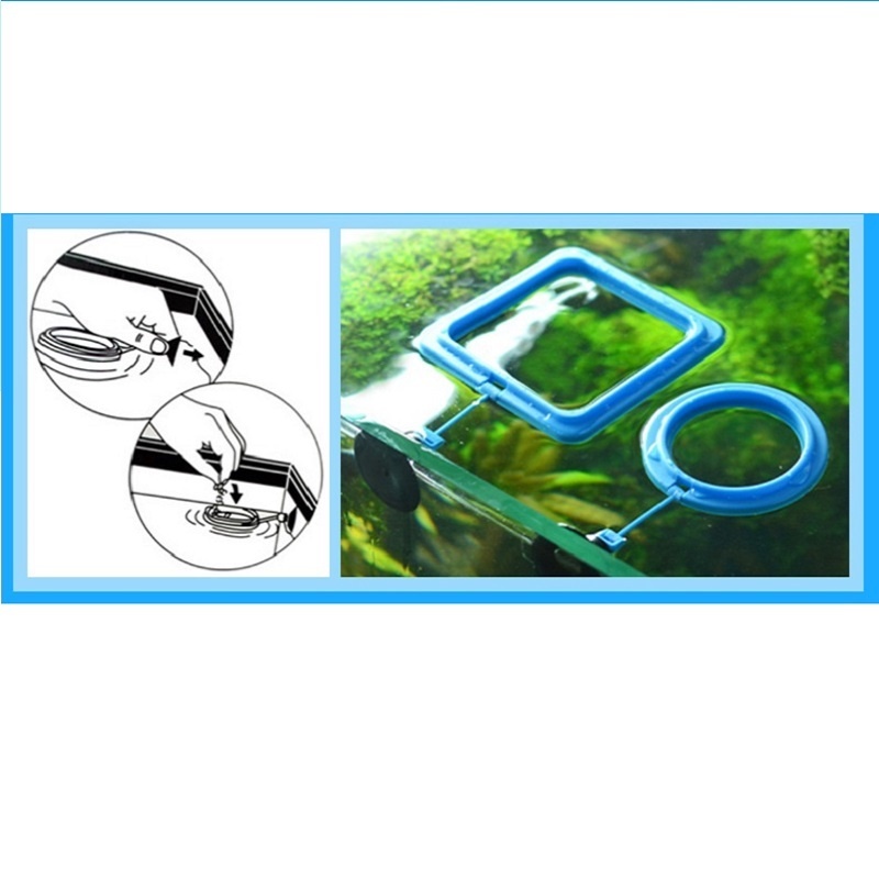 Fish Feeding Ring Feeder Fishi - огляд і ціна Tetra Fish In Aquarium