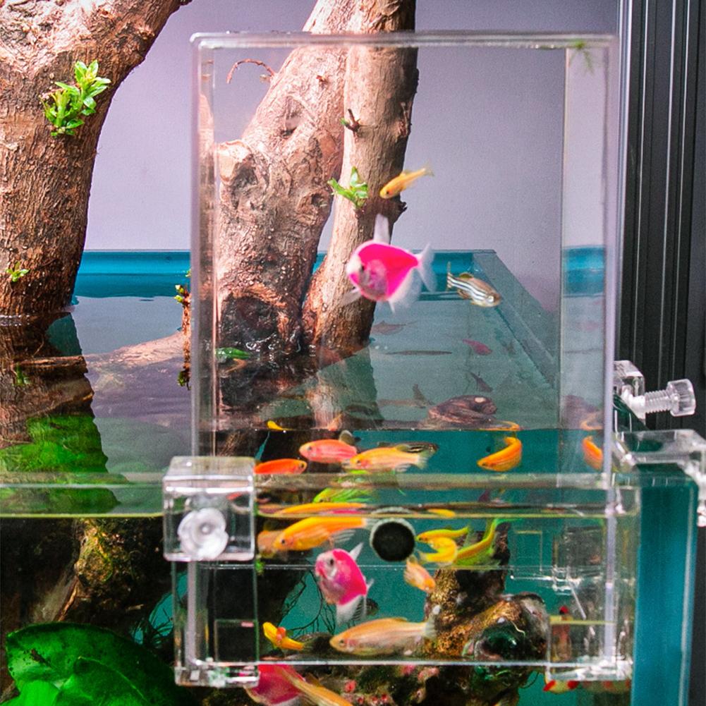 Negative Pressure Fish Tank Su - огляд і ціна Aquarium Fish Bridge