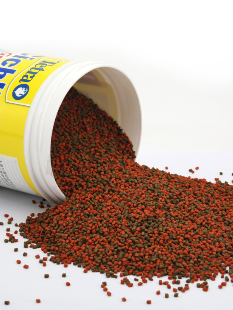 Tetra Cichlid Granules Clear W - огляд і ціна Tetra Fish In Aquarium