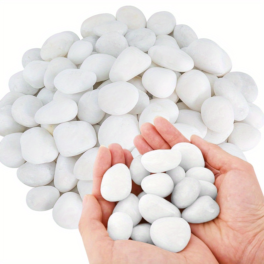 200/400g White High Polished N - огляд і ціна Aquarium Fish Saltwater