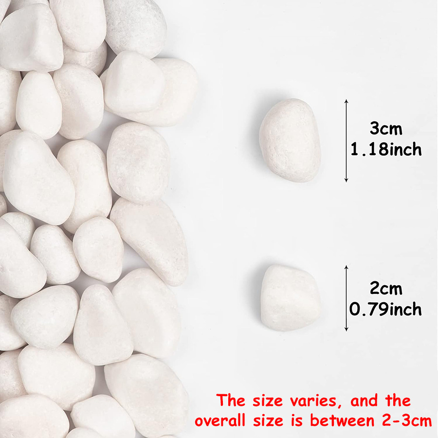 200/400g White High Polished N - огляд і ціна Aquarium Fish Saltwater