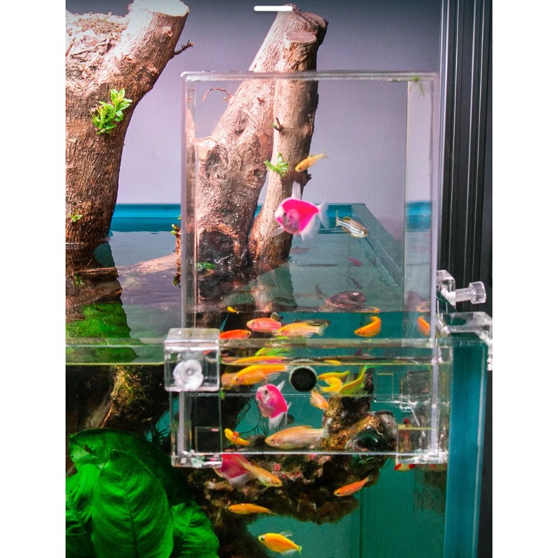 Creative Negative Pressure Aqu - огляд і ціна Aquarium Fish Bridge