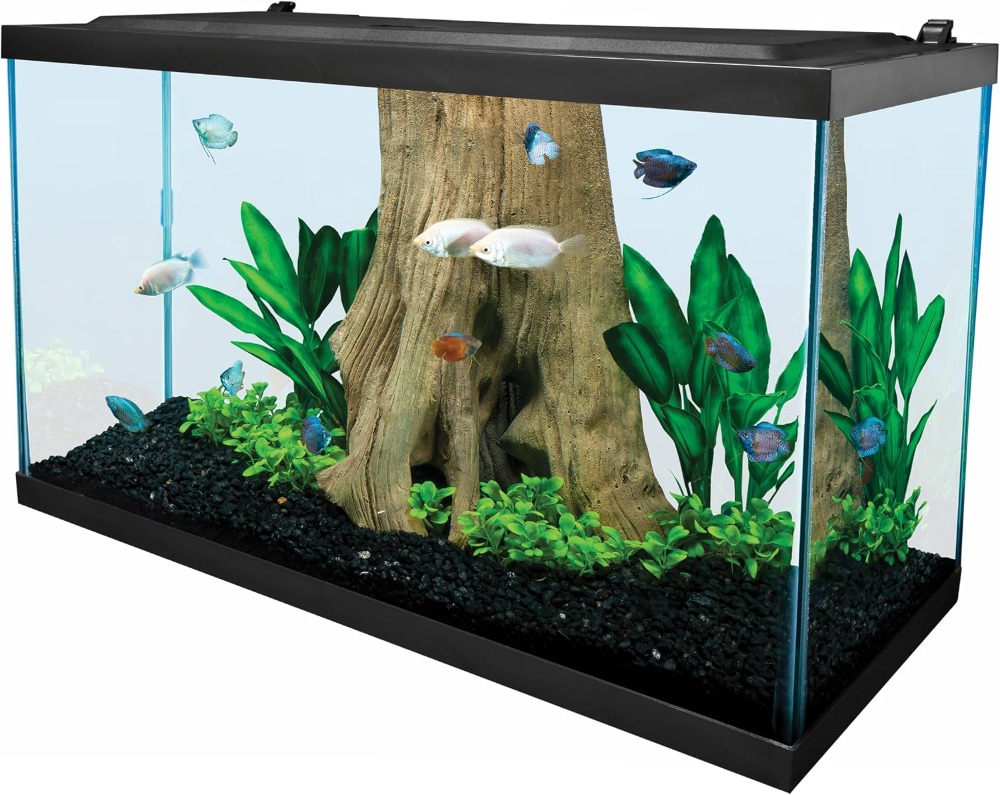 Tetra Glass Aquarium 29 Gallon - огляд і ціна Tetra Fish In Aquarium