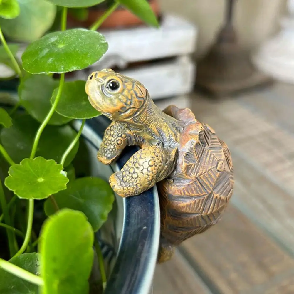 Fishing Turtle Hanging Turtle  - огляд і ціна Aquarium Fish Saltwater