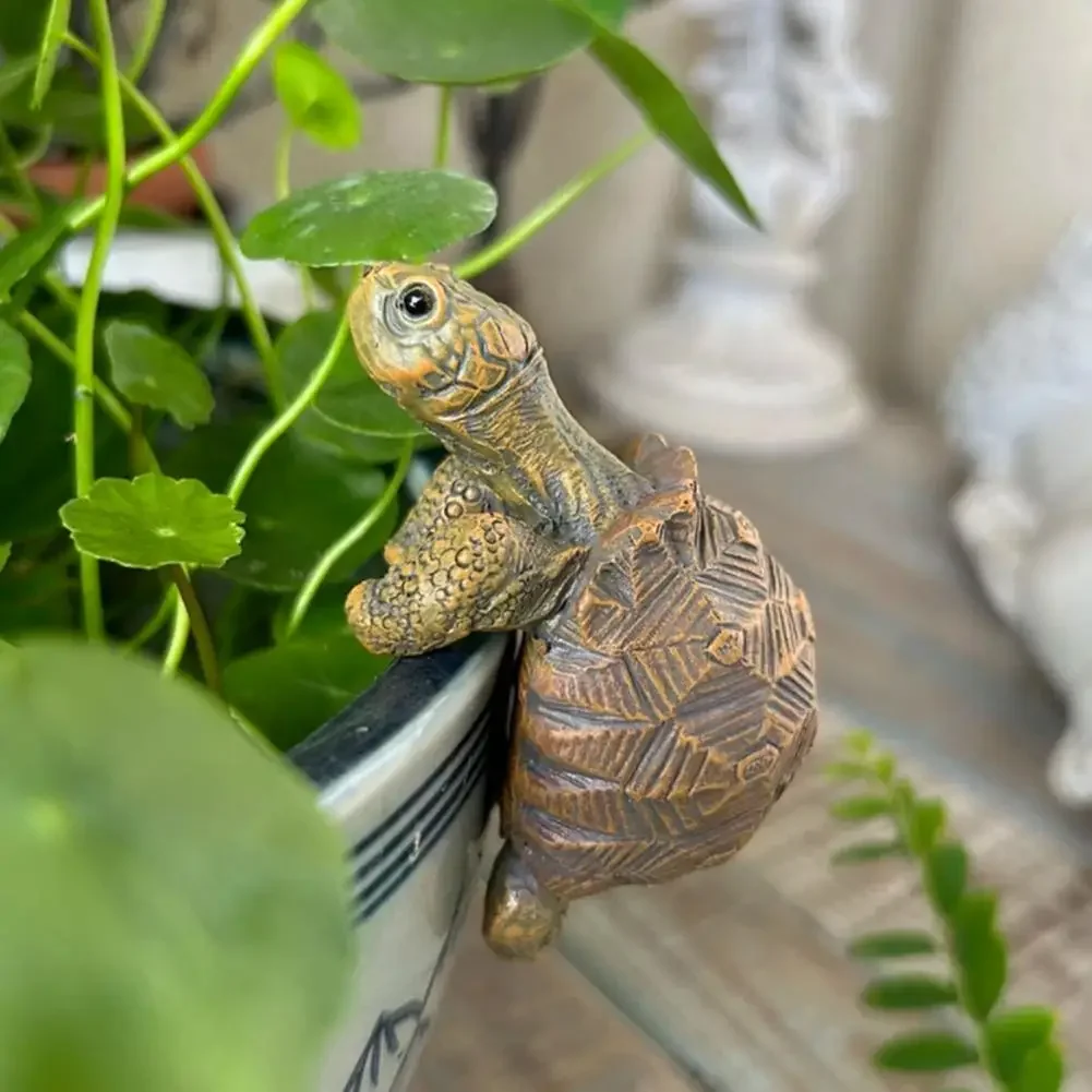 Fishing Turtle Hanging Turtle  - огляд і ціна Aquarium Fish Saltwater