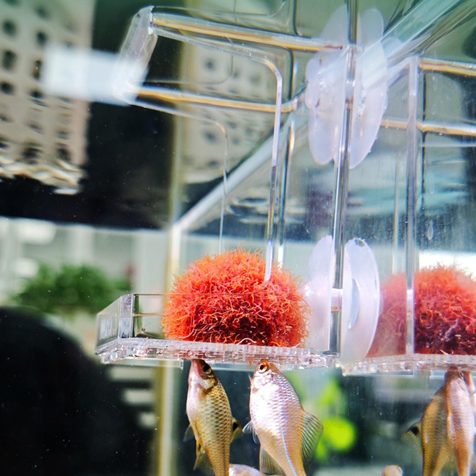 Aquarium Feeder Suction Cup Aq - огляд і ціна Tetra Fish In Aquarium