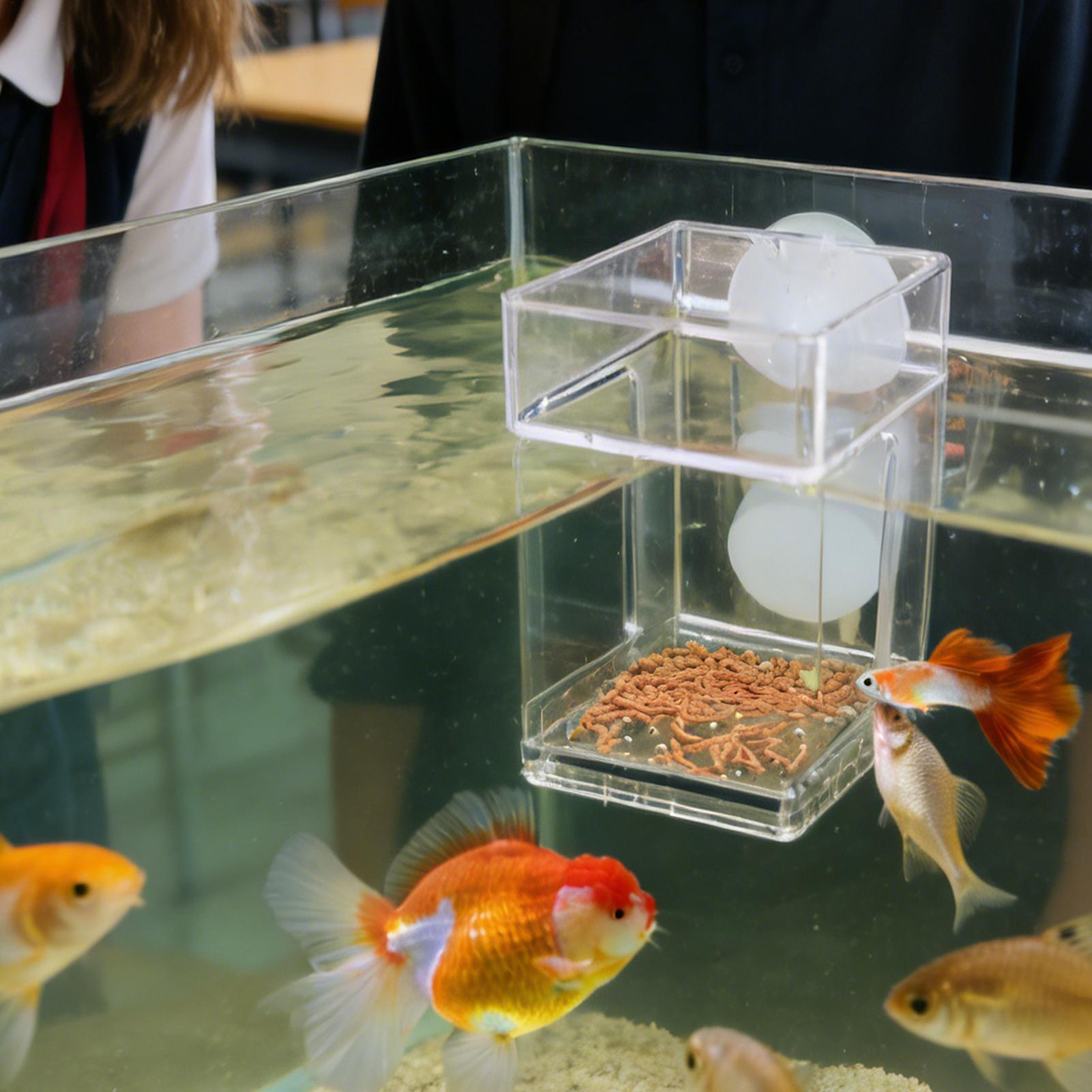 Aquarium Feeder Suction Cup Aq - огляд і ціна Tetra Fish In Aquarium