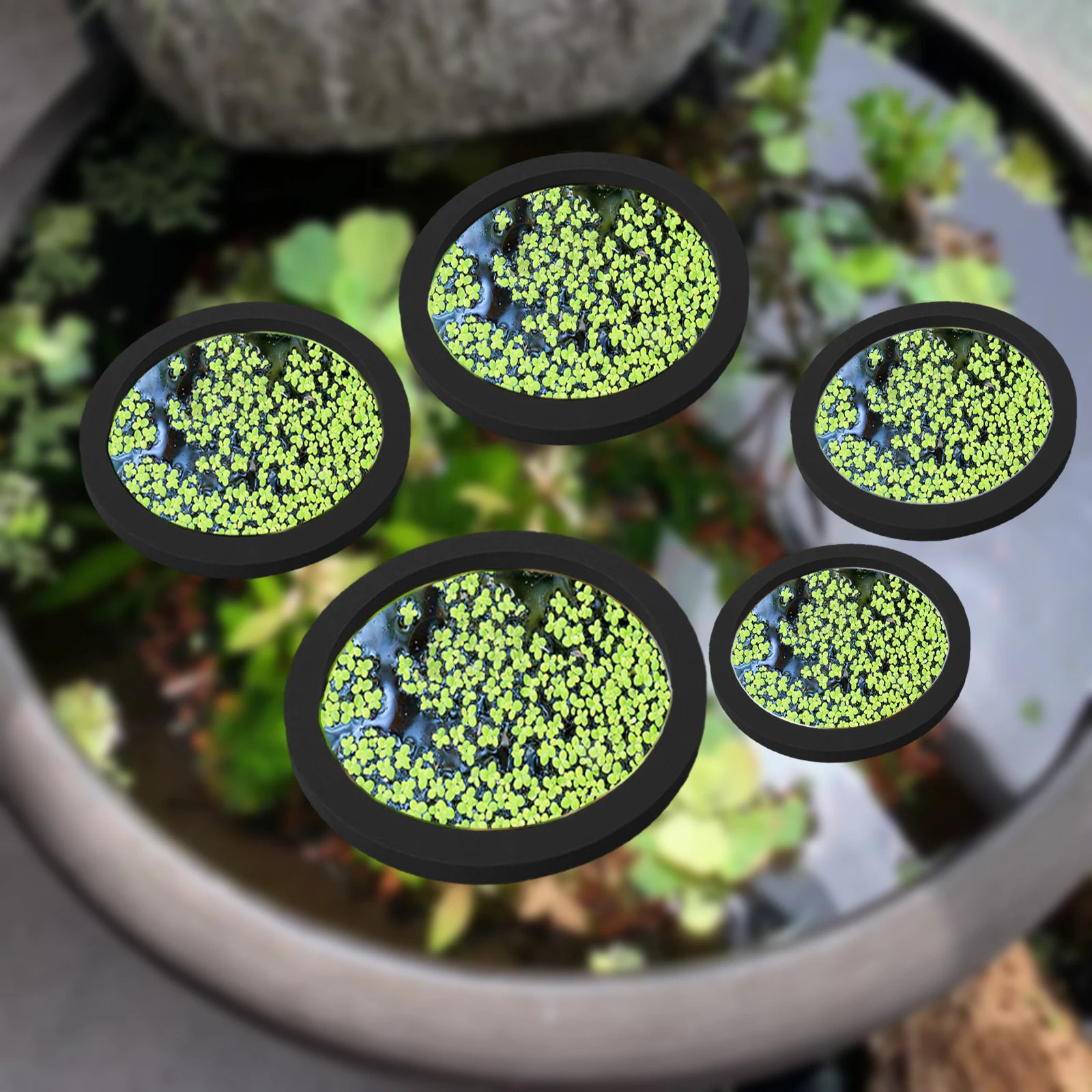 5Pcs EVA Fish Feeding Ring Aqu - огляд і ціна Aquarium Fish House