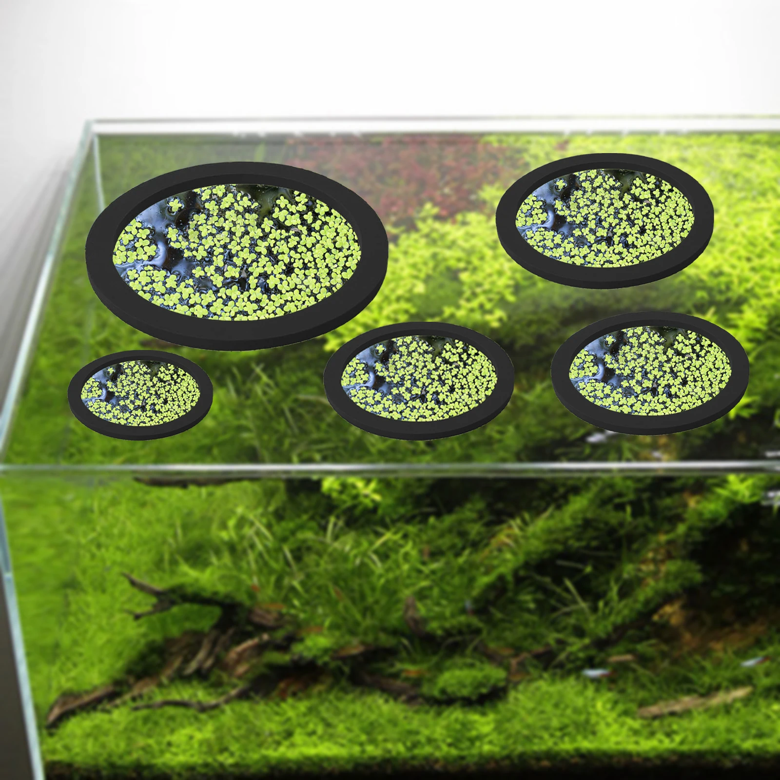 5Pcs EVA Fish Feeding Ring Aqu - огляд і ціна Aquarium Fish House