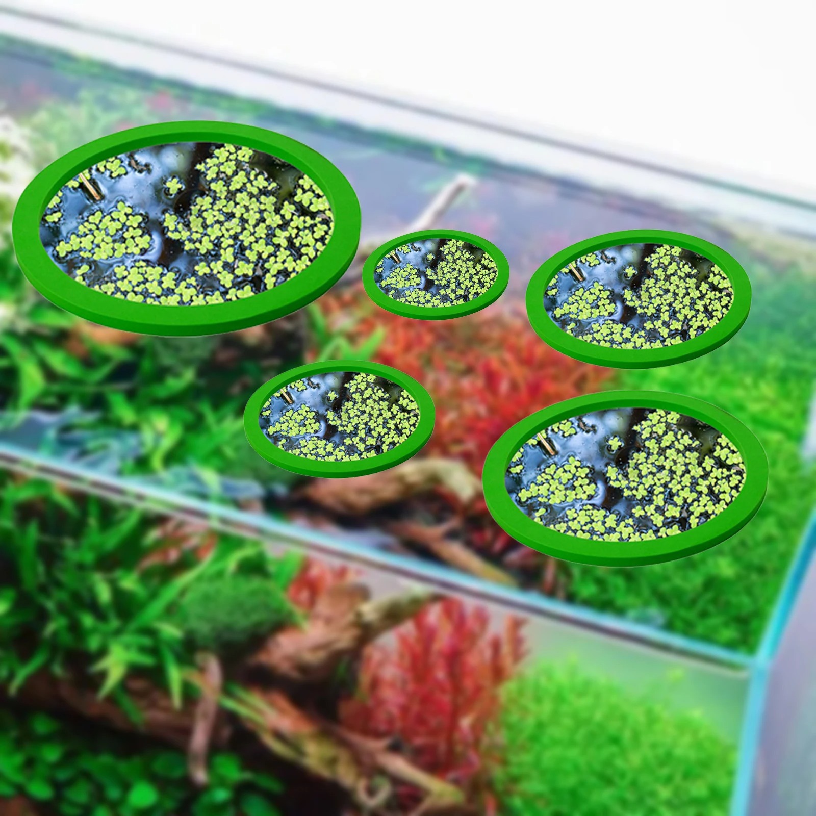 5Pcs EVA Fish Feeding Ring Aqu - огляд і ціна Aquarium Fish House