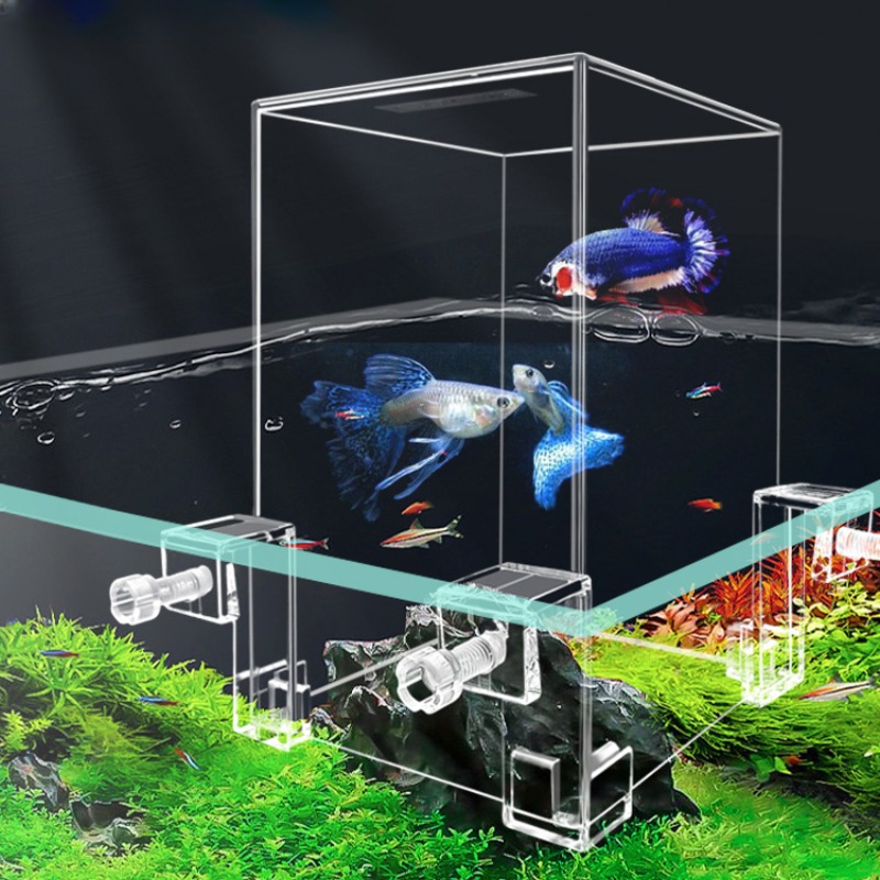 Creative Aquarium Tanks Negati - огляд і ціна Aquarium Fish Bridge