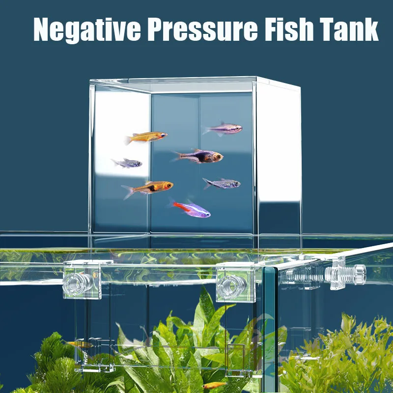 Creative Aquarium Tanks Negati - огляд і ціна Aquarium Fish Bridge