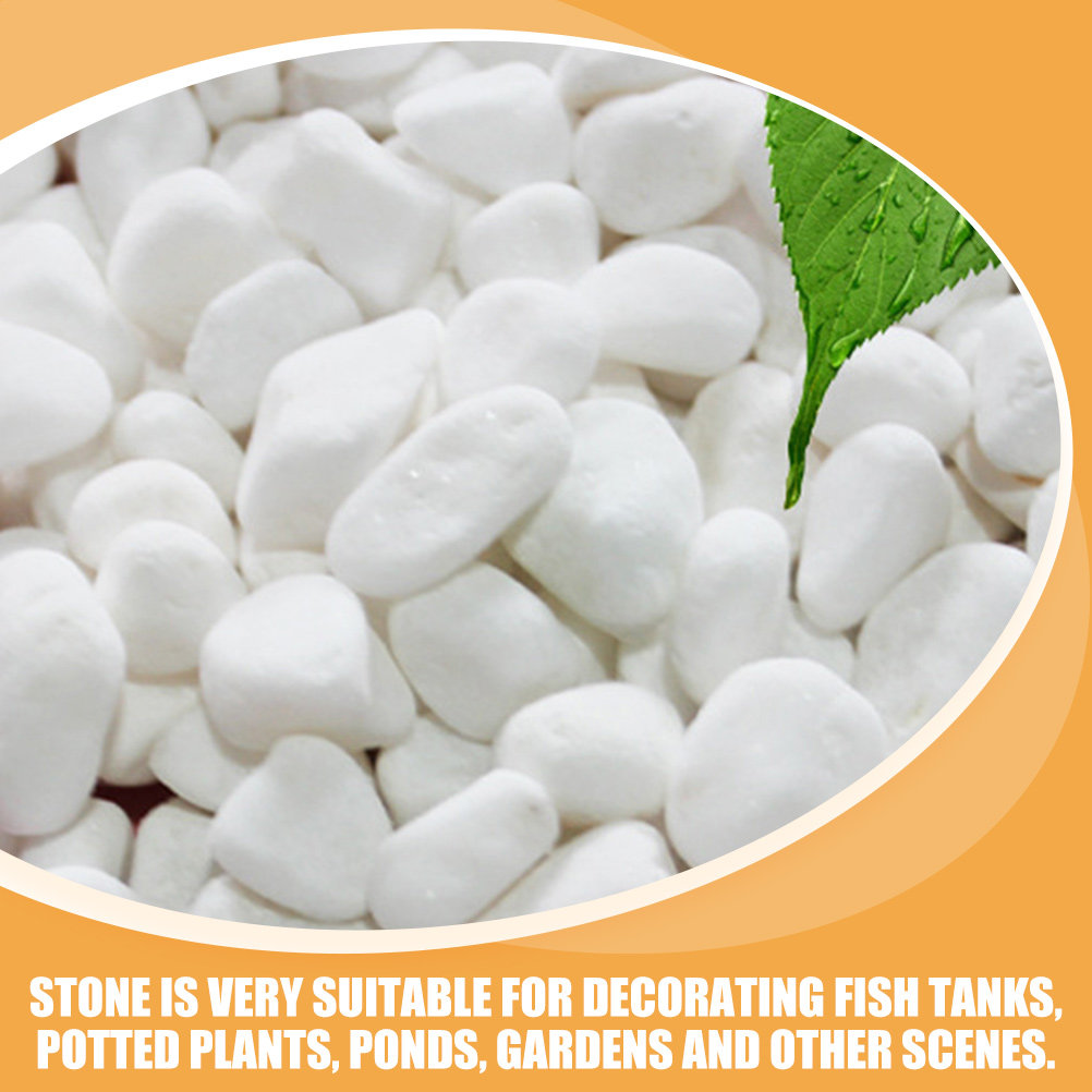 1Set White Decorative Stone El - огляд і ціна Aquarium Fish Saltwater