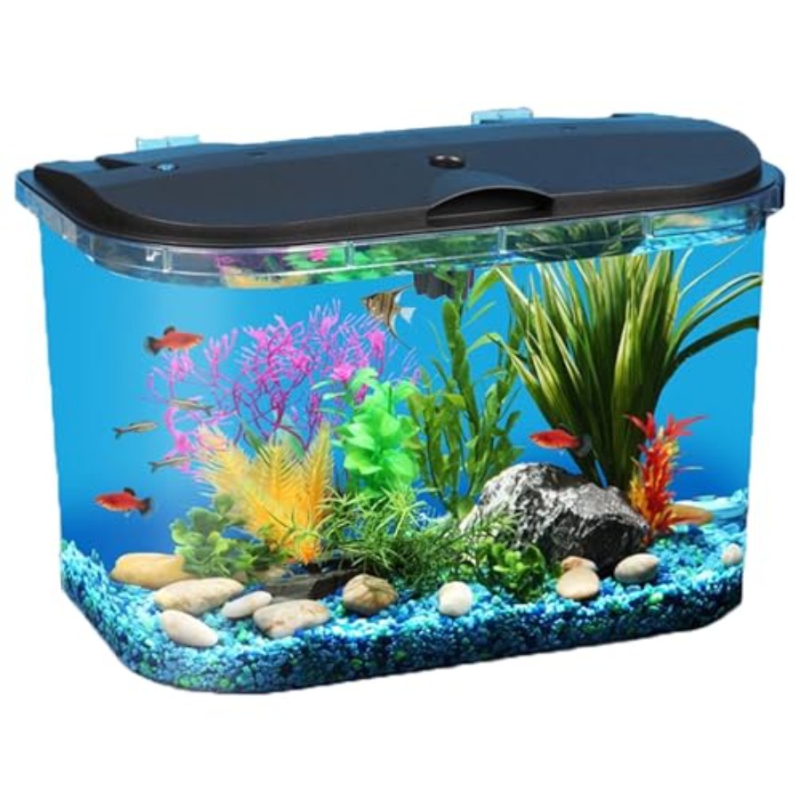 5-Gallon Aquarium Kit with LED - огляд і ціна Aquarium Fish Variety