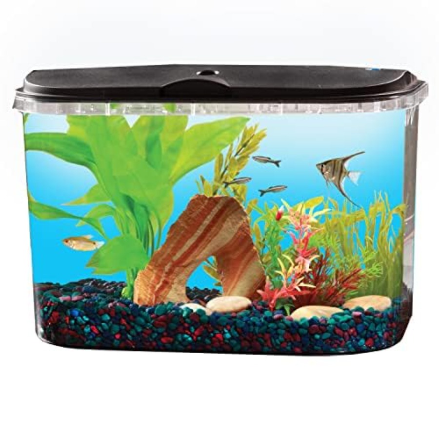 5-Gallon Aquarium Kit with LED - огляд і ціна Aquarium Fish Variety