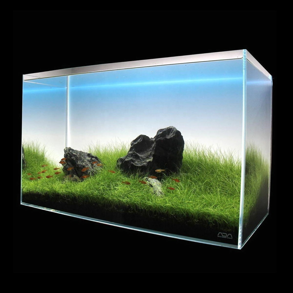 Good Quality Fish Tank Aquariu - огляд і ціна Aquarium Fish Rate