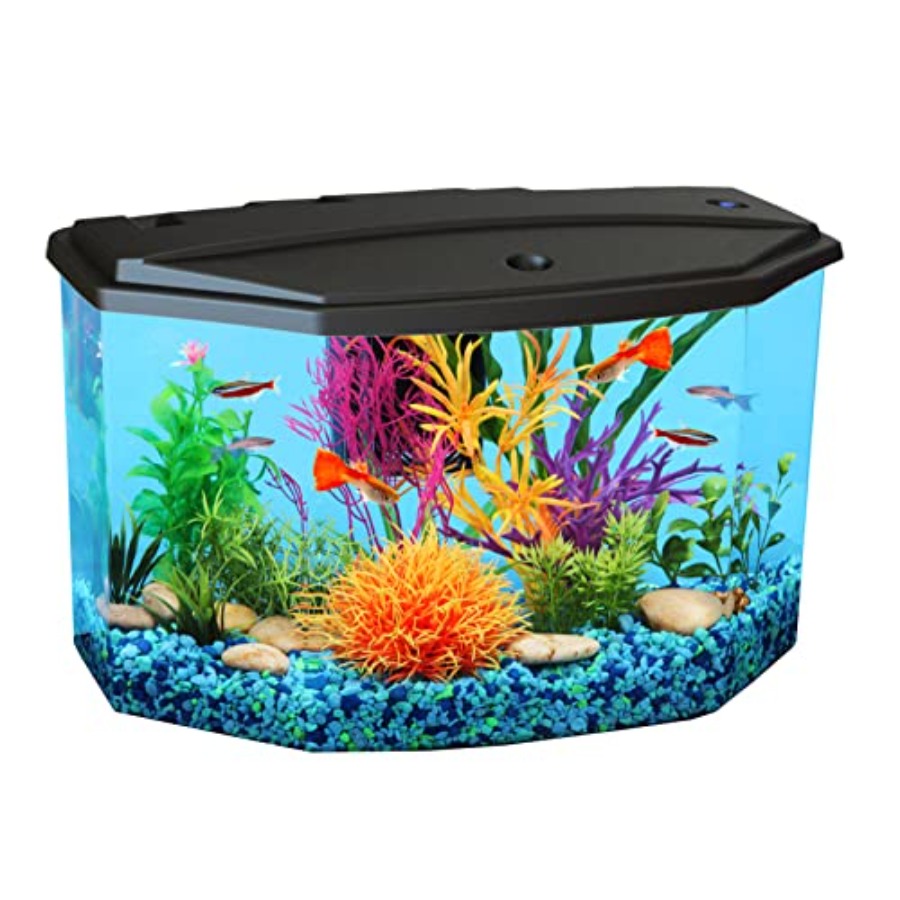 Plastic 3-Gallon Aquarium Star - огляд і ціна Aquarium Fish Variety