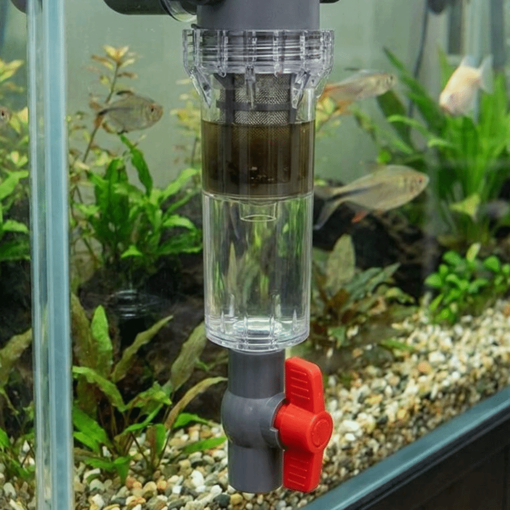 1/2 Thread Aquarium Feces Sepa - огляд і ціна Aquarium Fish Rate