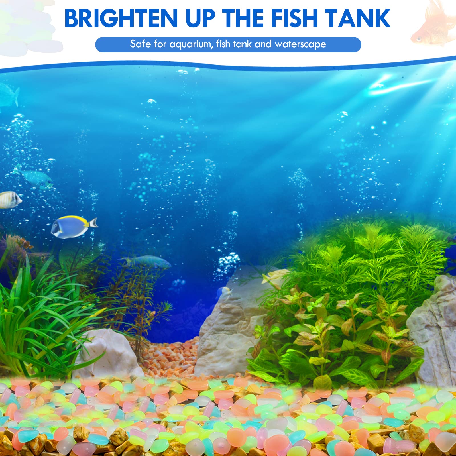 100Pcs Glow in the Dark Garden - огляд і ціна Aquarium Fish Saltwater