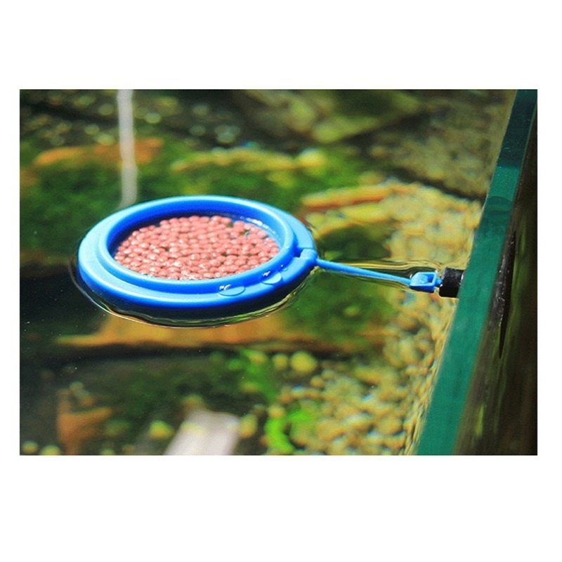 Fish Feeding Ring Feeder Fishi - огляд і ціна Tetra Fish In Aquarium