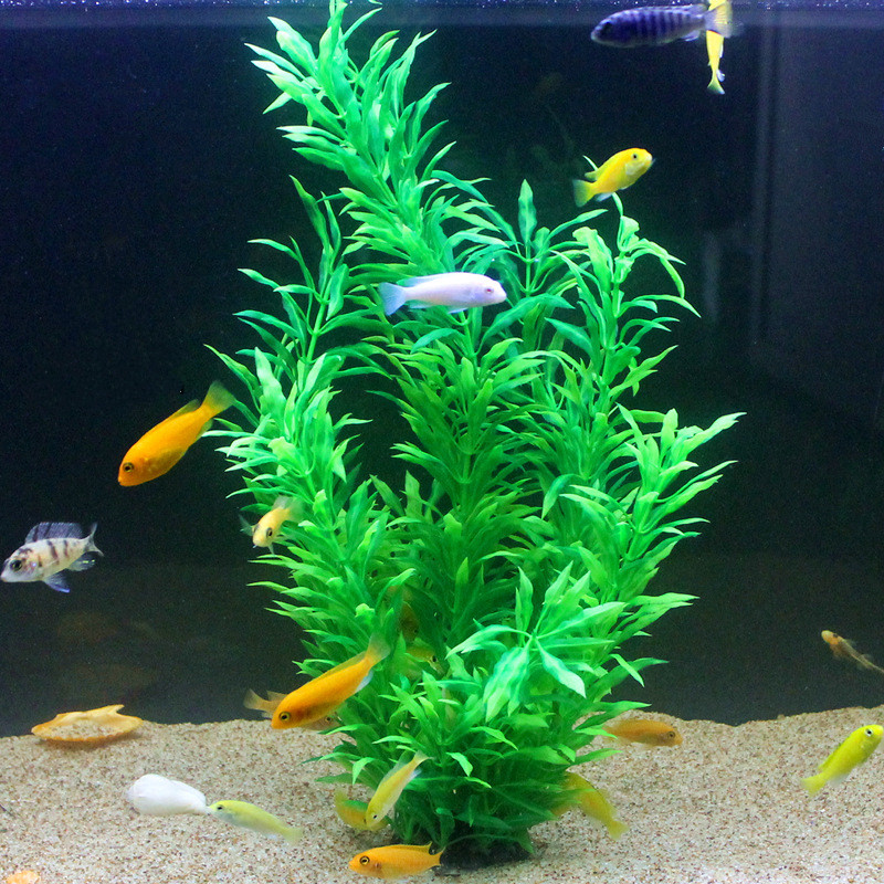 50CM Artificial Fish Tank Rare - огляд і ціна Aquarium Fish Saltwater