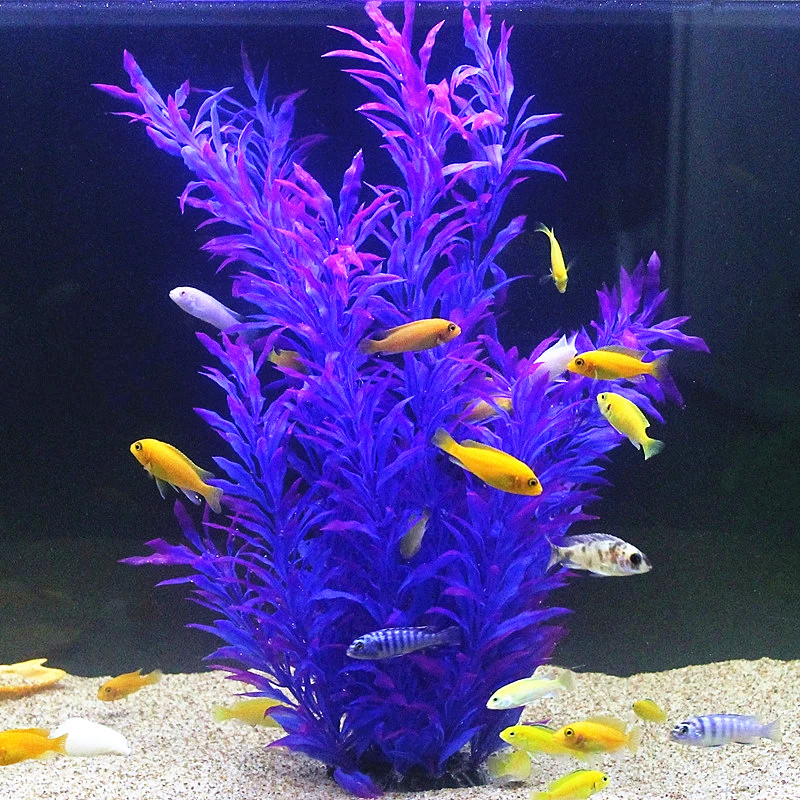 50CM Artificial Fish Tank Rare - огляд і ціна Aquarium Fish Saltwater